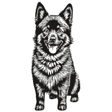 Siyah beyaz Schipperke köpek logosu vektörü, eski model şirin köpek kafası kazınmış.