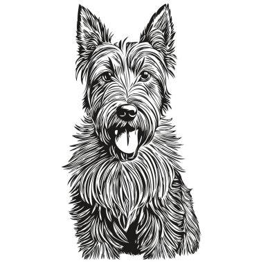 İskoç teriyer köpek çizgi filmi yüz mürekkep portresi, siyah beyaz çizim, tişört izi.