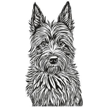 İskoç teriyer köpek eli siyah beyaz çizgi çizen resim çizimi çizimi.