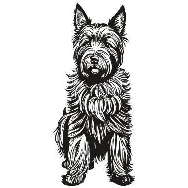 İskoç Terrier köpek logosu siyah-beyaz, klasik köpek kafası oymalı çizim