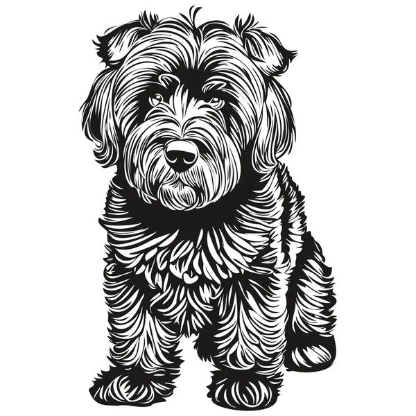 Chien Terrier Russe Noir Dessin Ligne Race Clip Art Animal — Image vectorielle