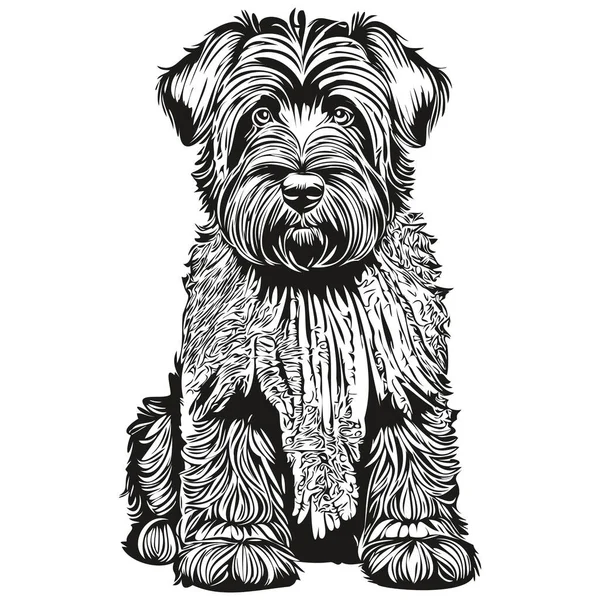 Black Russian Terrier Dog Line Illustration Black White Ink Sketch — Stock Vector