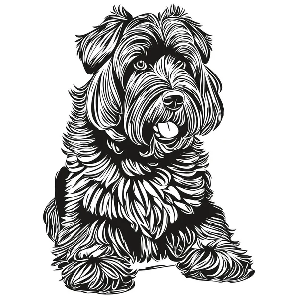 Black Russian Terrier Hundeleine Illustration Schwarz Weiße Tuschskizze Gesicht Porträt — Stockvektor