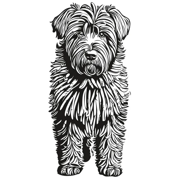 Chien Terrier Russe Noir Dessin Crayon Personnage Noir Sur Fond — Image vectorielle