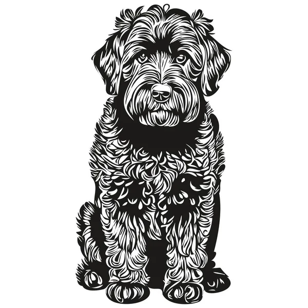 Preto Russo Terrier Cão Lápis Mão Desenho Vetor Esboço Ilustração —  Vetores de Stock