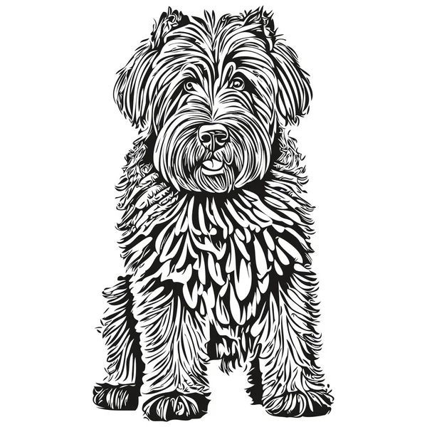 Preto Russo Terrier Cão Pet Esboço Ilustração Preto Branco Gravura —  Vetores de Stock