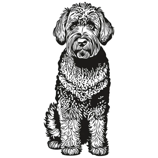 Black Russian Terrier Dog Pet Sketch Illustration Black White Engraving — Stock Vector