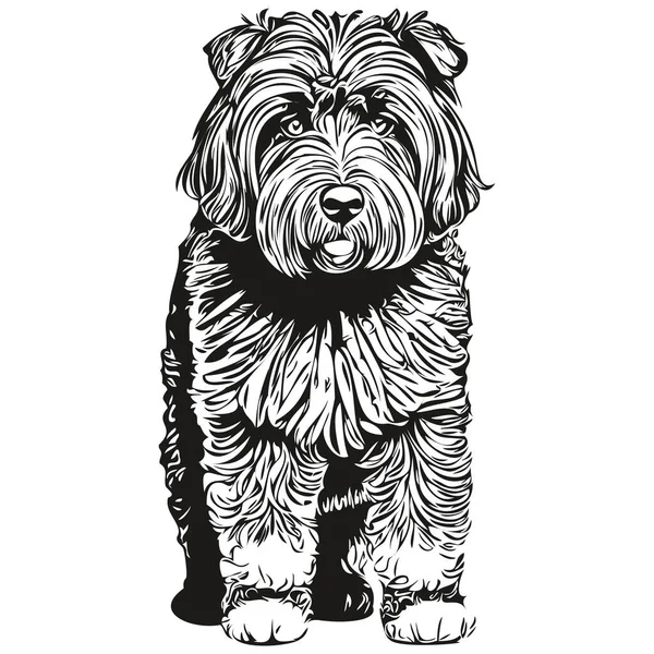 Fekete Orosz Terrier Kutya Realisztikus Ceruza Rajz Vektor Line Art — Stock Vector