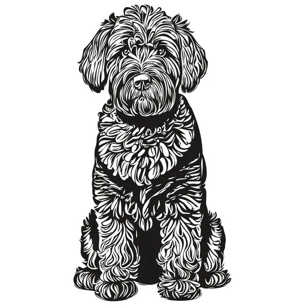 Preto Russo Terrier Cão Vetor Gráficos Mão Desenhada Lápis Animal —  Vetores de Stock