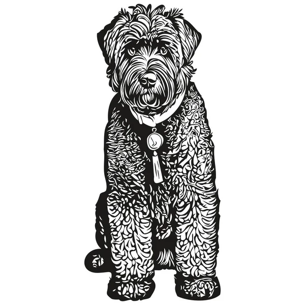 Black Russian Terrier Dog Vector Graphics Hand Drawn Pencil Animal — Stock Vector