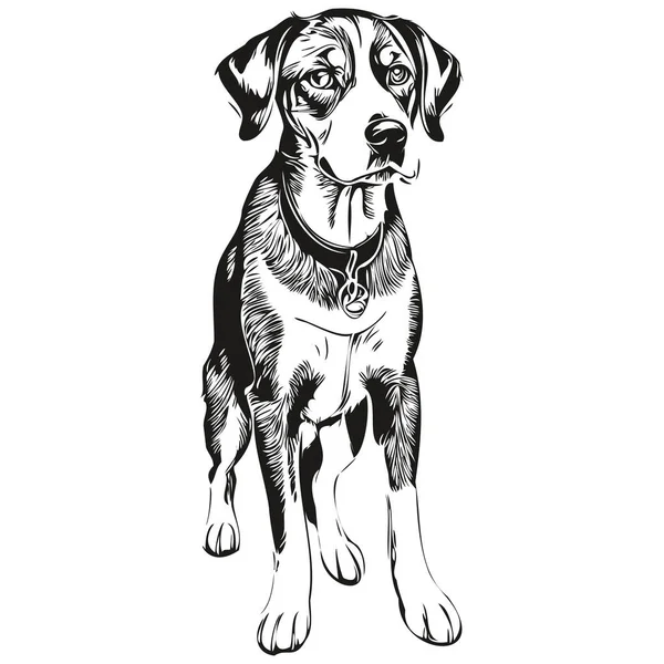 蓝斑狗黑色画图矢量 孤立的人脸画素描线画图逼真的品种宠物 — 图库矢量图片