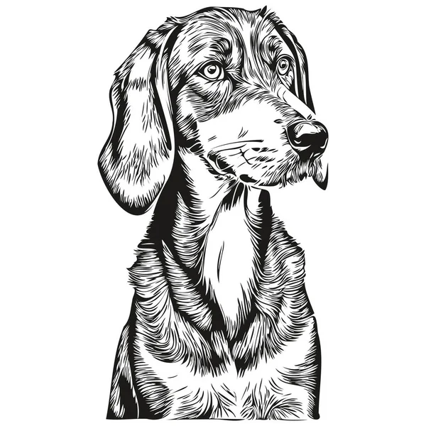 Bluetick Coonhound Chien Dessin Animé Visage Encre Portrait Dessin Croquis — Image vectorielle