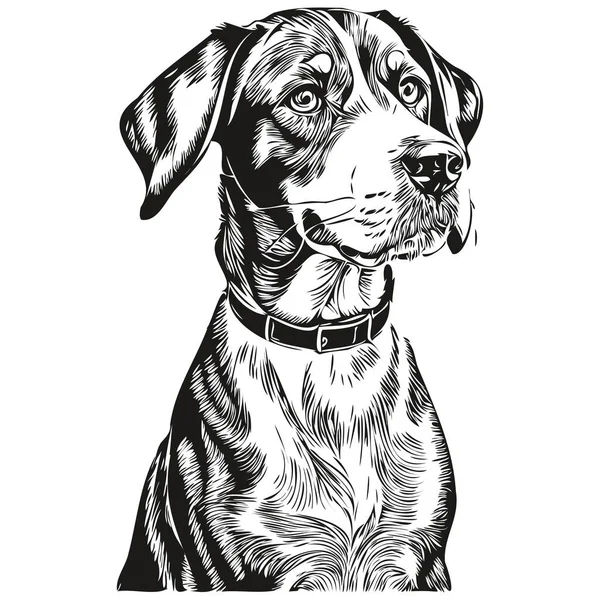 Bluetick Coonhound Dog Cartoon Face Ink Portrait Black White Sketch — Stock Vector