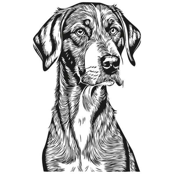 Bluetick Coonhound Pes Kreslený Obličej Inkoust Portrét Černobílý Náčrt Kresba — Stockový vektor