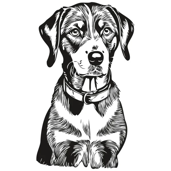Bluetick Coonhound Perro Dibujado Mano Logotipo Dibujo Blanco Negro Línea — Vector de stock