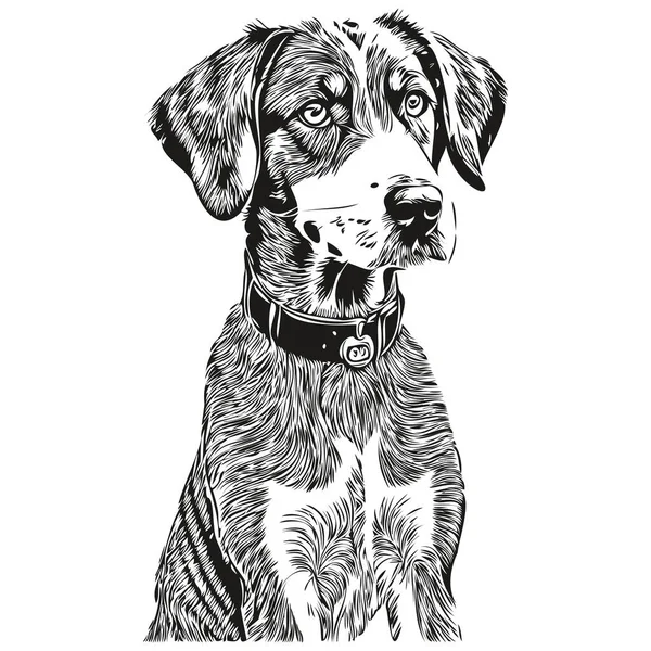 Bluetick Coonhound Dog Ink Sketch Drawing Vintage Tattoo Shirt Print — Stock Vector