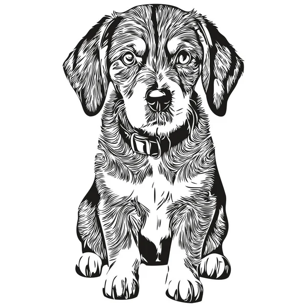 Bluetick Coonhound Perro Tinta Bosquejo Dibujo Vintage Tatuaje Camiseta Impresión — Vector de stock