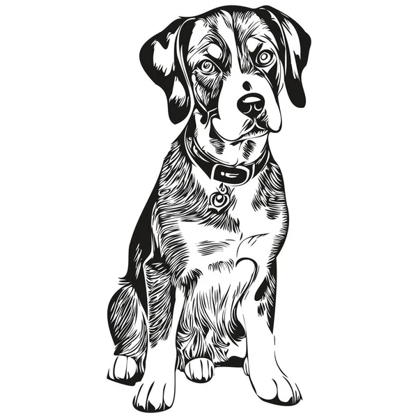 Bluetick Coonhound Desenho Esboço Tinta Cão Tatuagem Vintage Shirt Imprimir — Vetor de Stock