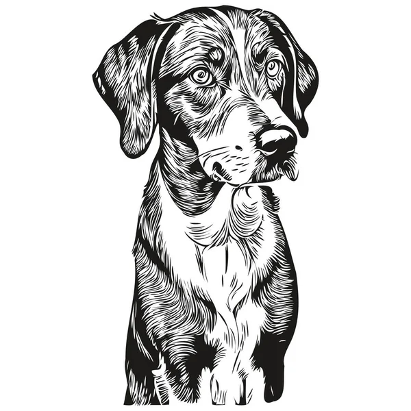 Bluetick Coonhound Логотип Собаки Вектор Чорно Білий Вінтажний Милий Собача — стоковий вектор
