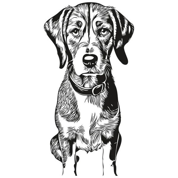 Bluetick Coonhound Perro Logo Vector Blanco Negro Vintage Lindo Perro — Vector de stock