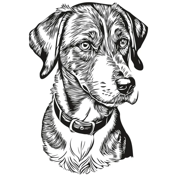 Bluetick Coonhound Chien Animal Compagnie Silhouette Animal Ligne Illustration Dessin — Image vectorielle