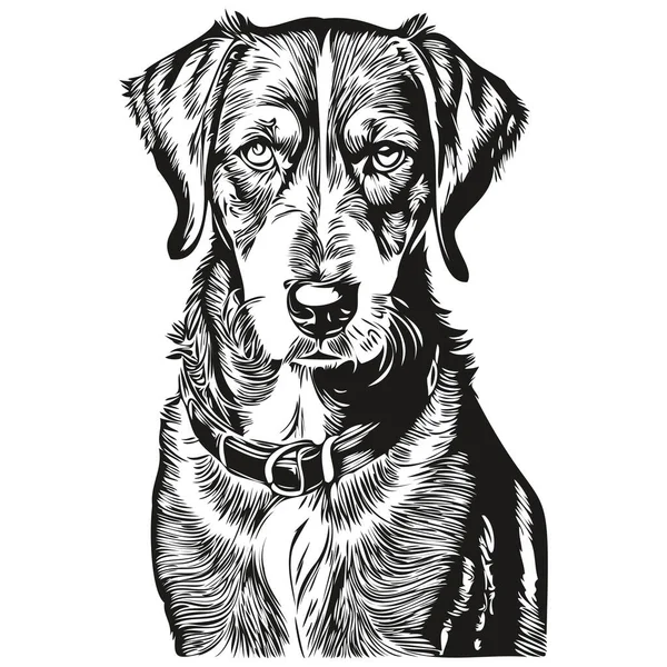 Bluetick Coonhound Perro Retrato Vector Animal Dibujo Mano Para Tatuaje — Vector de stock