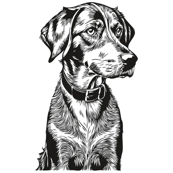 Bluetick Coonhound Dog Реалістичний Малюнок Олівцем Векторі Лінія Мистецтва Ілюстрація — стоковий вектор