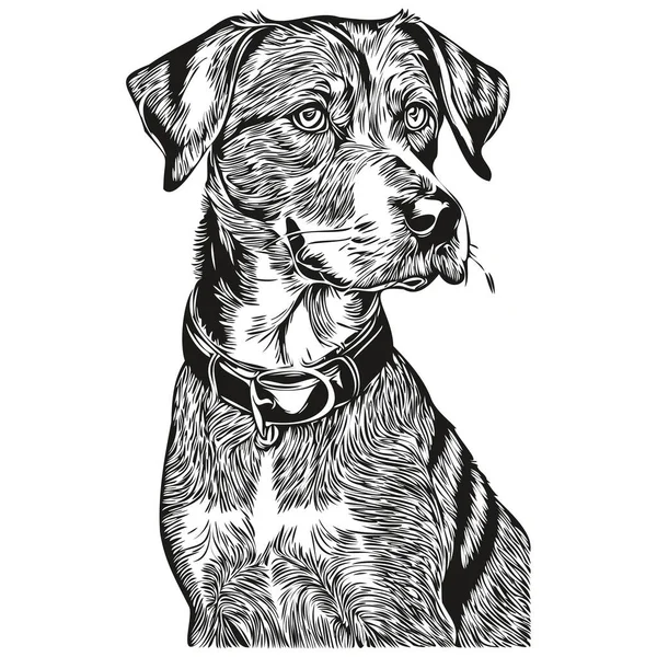 Bluetick Coonhound Perro Realista Mascota Ilustración Mano Dibujo Cara Negro — Vector de stock