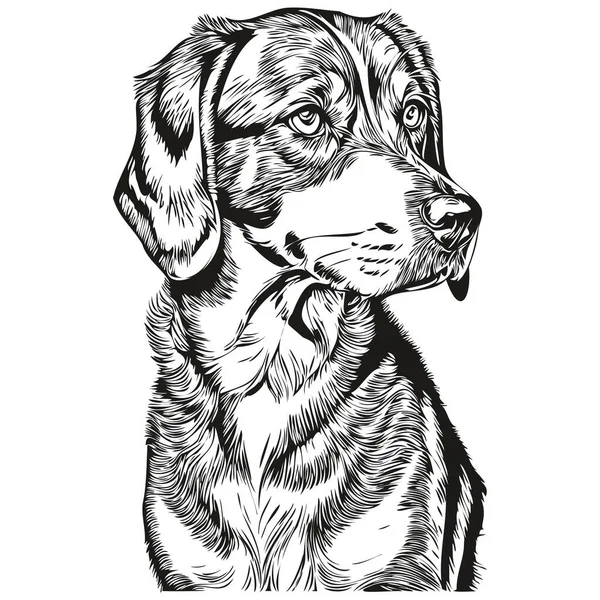 ブルーティック コンハウンド犬のシルエットペットキャラクター クリップアートベクトルペット黒と白の現実的な品種のペットを描く — ストックベクタ