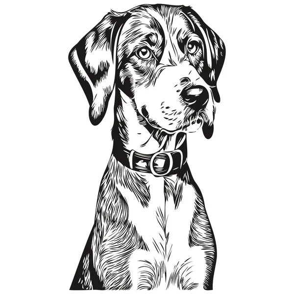 Bluetick Coonhound Perro Camiseta Impresión Blanco Negro Lindo Esquema Divertido — Archivo Imágenes Vectoriales
