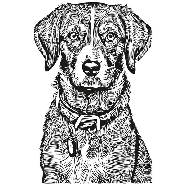 Bluetick Coonhound Dog Shirt Print Black White Cute Funny Outline — Stock Vector