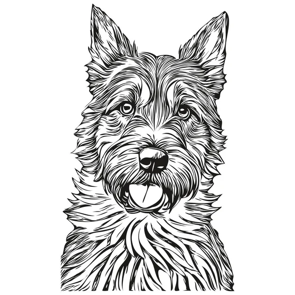 Borda Terrier Cão Raça Linha Desenho Clip Arte Animal Mão —  Vetores de Stock