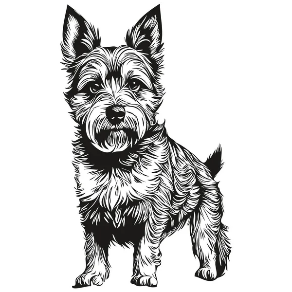 Border Terrier Pies Czarny Rysunek Wektor Odizolowany Obraz Twarzy Szkic — Wektor stockowy