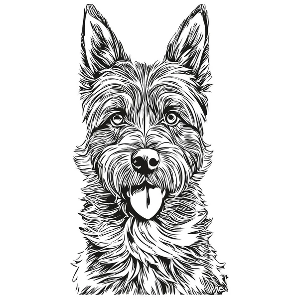 Border Terrier Cão Gravado Retrato Vetorial Desenho Vintage Cartoon Rosto —  Vetores de Stock