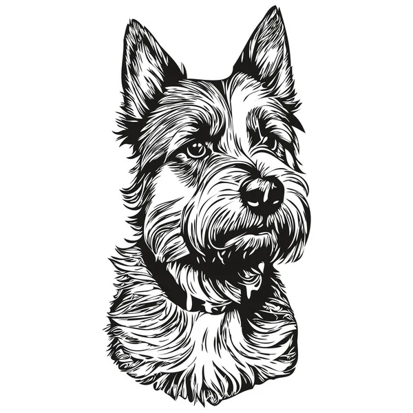 Σύνορα Terrier Σκυλί Πρόσωπο Διάνυσμα Πορτρέτο Αστείο Περίγραμμα Κατοικίδιο Ζώο — Διανυσματικό Αρχείο