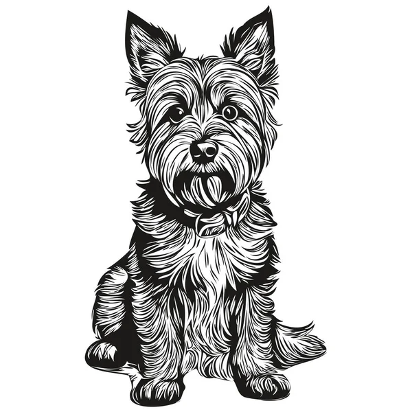 Granica Terrier Pies Kreskówka Twarz Atrament Portret Czarno Biały Szkic — Wektor stockowy