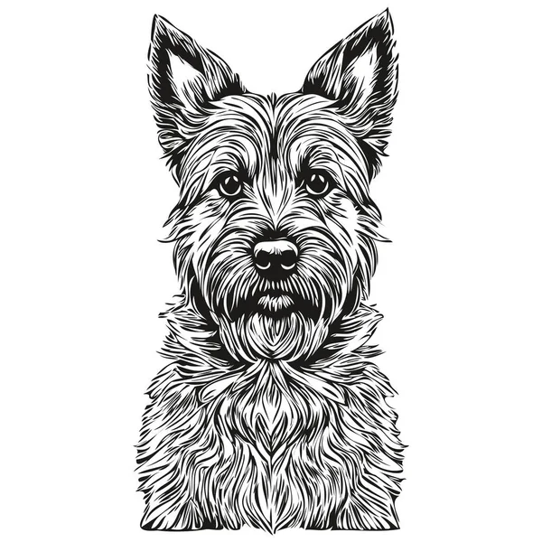Sınır Köpeği Mürekkep Çizimi Klasik Dövme Tişört Baskısı Siyah Beyaz — Stok Vektör