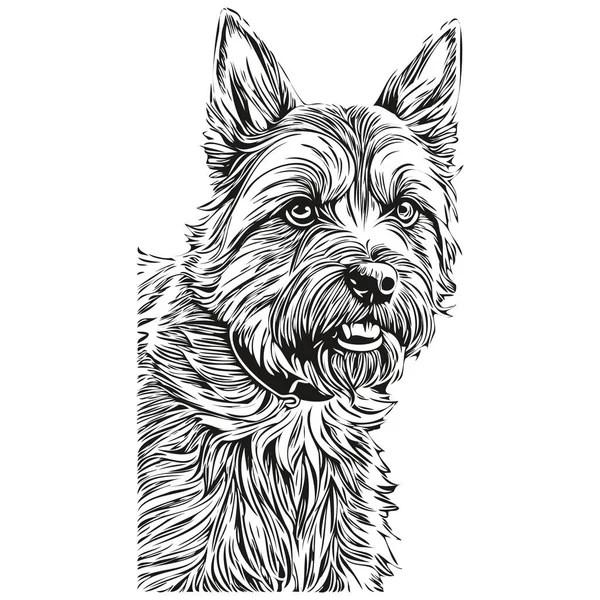 边境犬墨迹素描 古色古香纹身或T恤衫印刷黑白矢量 — 图库矢量图片