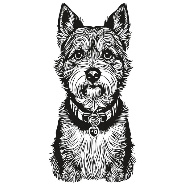 Confine Terrier Cane Linea Testa Disegno Vettore Illustrazione Disegnata Mano — Vettoriale Stock