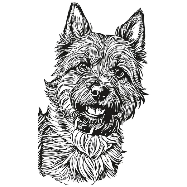 Illustration Ligne Chien Border Terrier Croquis Encre Noire Blanche Portrait — Image vectorielle