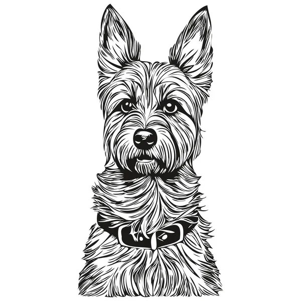 Frontiera Terrier Cane Ritratto Vettore Disegno Mano Animale Tatuaggio Tshirt — Vettoriale Stock