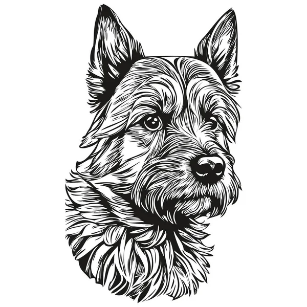 Fronteira Terrier Cão Realista Pet Ilustração Mão Desenho Rosto Preto —  Vetores de Stock