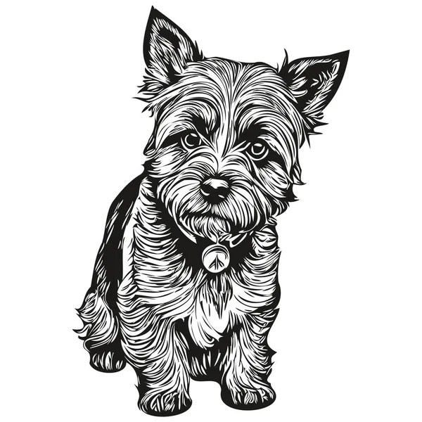 Chien Border Terrier Dessin Crayon Réaliste Vecteur Illustration Art Linéaire — Image vectorielle