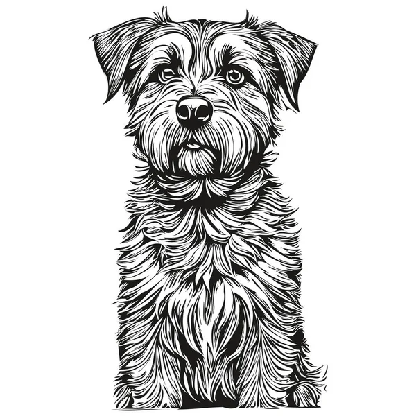Sınır Köpeği tişörtü siyah-beyaz, sevimli komik çizim vektörü gerçekçi hayvan cins.