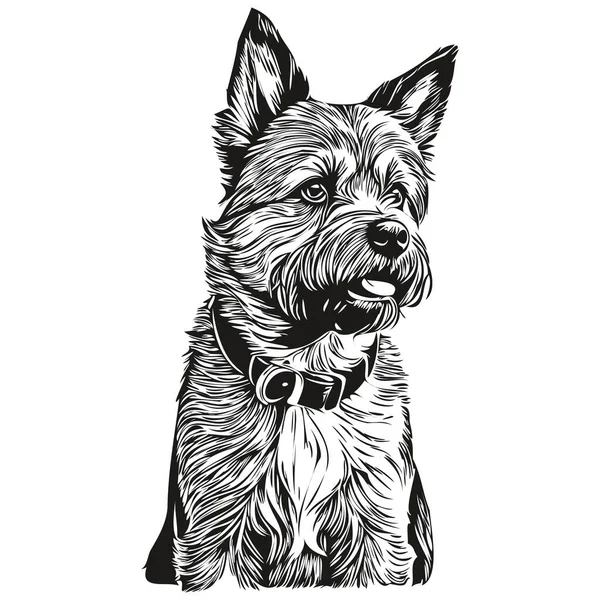 Confine Terrier Cane Grafica Vettoriale Disegnato Mano Matita Animale Linea — Vettoriale Stock