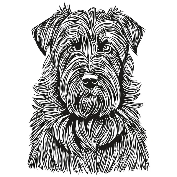 Briard Cão Raça Linha Desenho Clip Arte Animal Mão Desenho —  Vetores de Stock