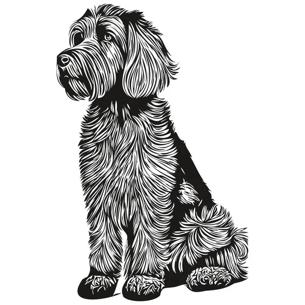 Briard Dog Cartoon Face Ink Portrait Black White Sketch Drawing — Stock Vector
