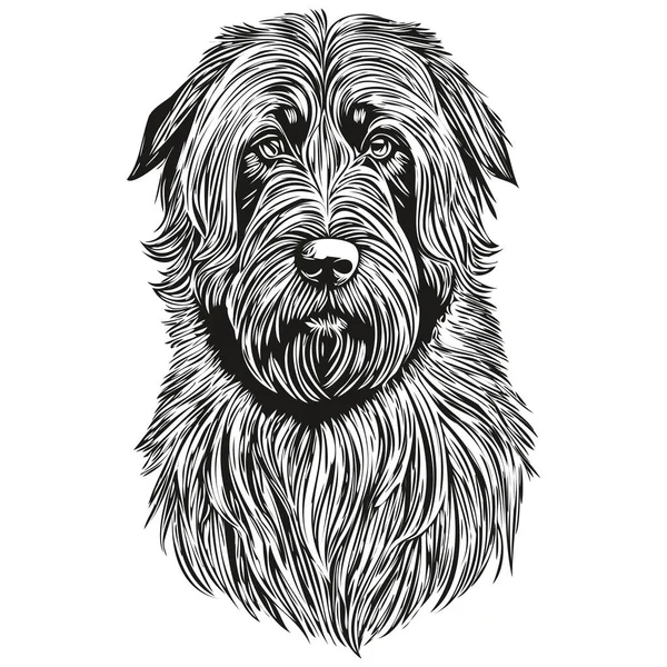 Briard Dog Karikatür Yüz Mürekkep Portresi Siyah Beyaz Çizim Tişört — Stok Vektör