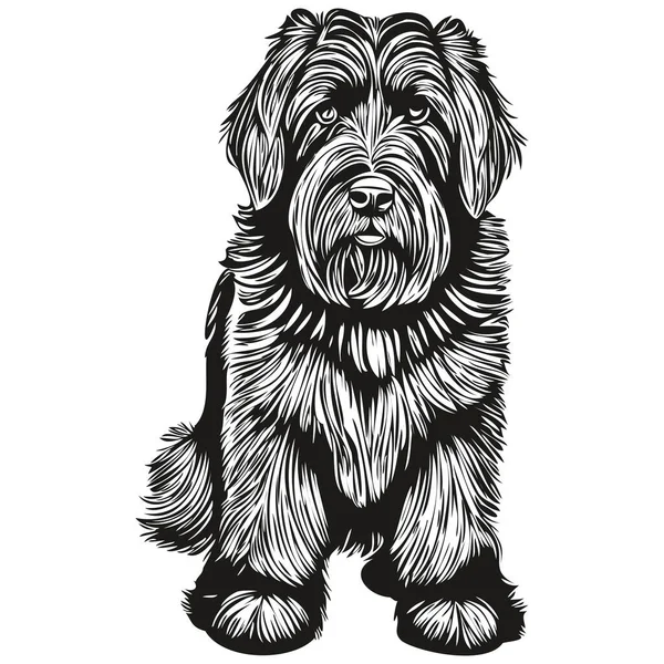 犬の顔ベクトルの肖像画 面白いアウトラインペットイラスト白い背景現実的な品種のペット — ストックベクタ
