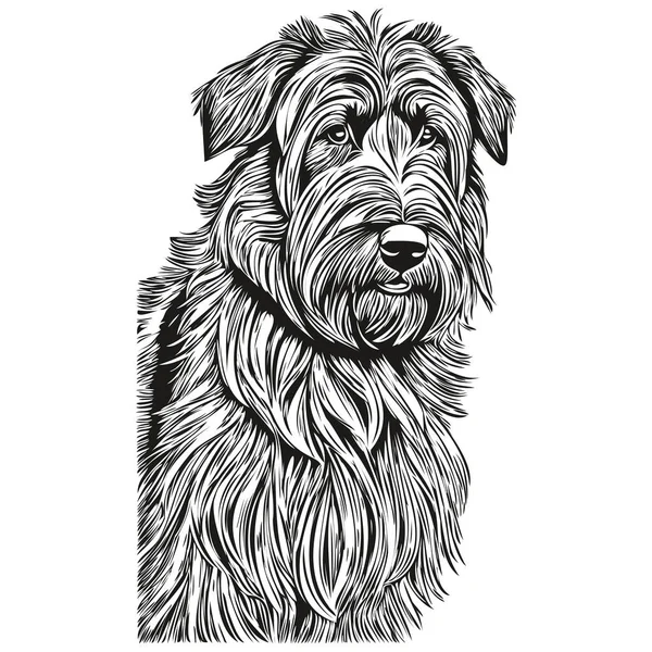 Briard Chien Visage Vecteur Portrait Drôle Contour Animal Illustration Fond — Image vectorielle